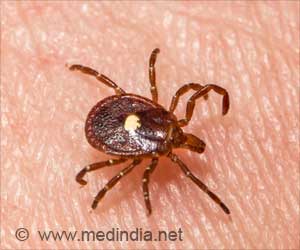 Alpha-Gal Syndrome: A Tick-Borne Meat Allergy Affecting Millions