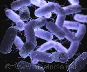 Carbon Monoxide Increases Effect of Antibiotic on H.Pylori
