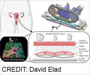 Artificial Tissue Used to Research Uterine Contractions, Say Researchers