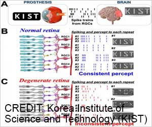 How to Improve the Function of Retinal Prosthetics, Study How to Improve the Function of Retinal Prosthetics, Study