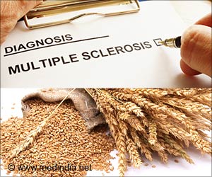 Can a Wheat Diet Impact Symptoms of Multiple Sclerosis?