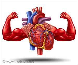 Muscle Gains Vs. Heart Strain: Striking the Balance With Protein