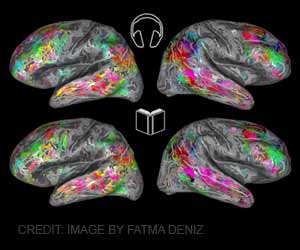 Scientists Map Healthy Elderly Brain