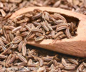 Spice That Fights Seizures: Caraway Promises Seizure Relief for Children