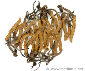 Caterpillars Hold Key to New Anti-inflammatory Drugs Caterpillars Hold Key to New Anti-inflammatory Drugs