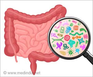 Irritable Bowel Syndrome Linked With Lower Gut Bacterial Diversity