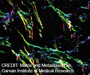  Squid Protein Sets Up Basis of New Self-Healing Biomaterial