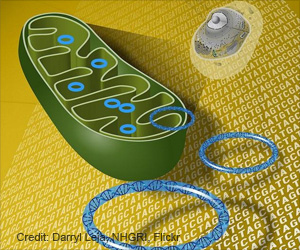  Harmful Mutations In Mitochondrial DNA Identified In Autism Spectrum Disorder