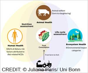 What are the Benefits of Eating Low Meat Diet?

