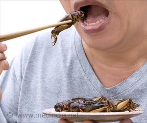 How Eating Insects Could Combat Weight Gain