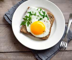 Just 1 Egg a Day Does Not Increase Heart Disease Risk