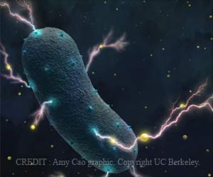 Electricity-generating Gut Bacteria Identified Electricity-generating Gut Bacteria Identified