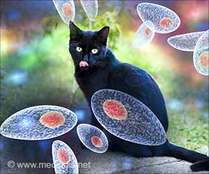 Psychosis Risk Related to Cat Parasite