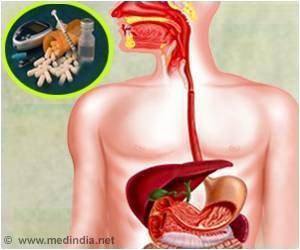 Snacking on High-fat and High-sugar Foods Causes Fatty Liver and Abdominal Obesity