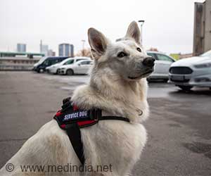 When Caring Heals: Training Service Dogs Slows Aging in Female Veterans