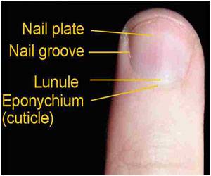  Why Some People Don't Have Fingerprints