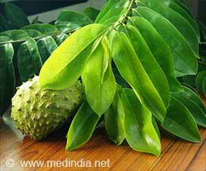 Could Soursop Fungi be Nature's Weapon for Cervical Cancer?
