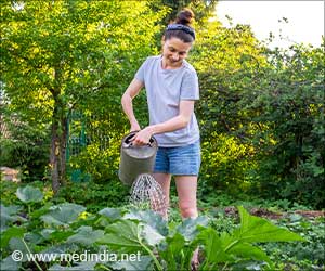 Gardening can Lower the Risk of Cancer and Boost Mental Health