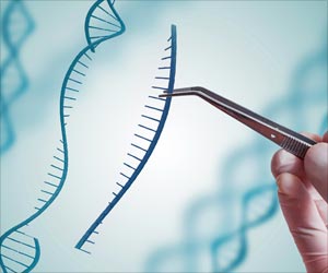 Gene Therapy For Genetic Skin Disease Using Epidermal Stem Cells