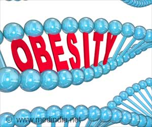 Heavy on Genes: The Weighty Role of BSN and APBA1 in Obesity