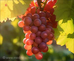  Grape Consumption Improves Eye Health in Older Adults