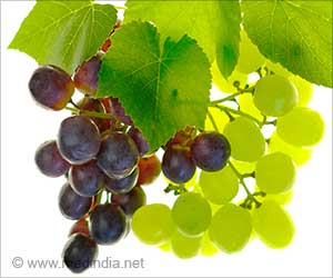 Can Grapes Improve Your Microbiome?