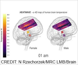 What is the Temperature of a Healthy Brain?
