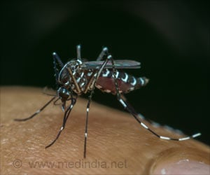 Combatting Malaria Transmission Through Blood Safety