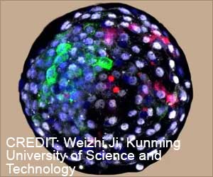 First Human-Monkey Embryo Developed