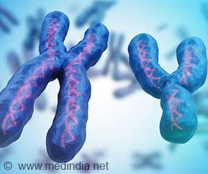 Is the Human Y Chromosome Slowly Disappearing? Is the Human Y Chromosome Slowly Disappearing?