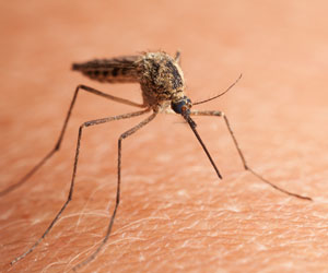 Gene Target for Immune Cell Activation Against Malaria Identified