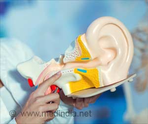 Genetic Discovery Helps Reverse Inner Ear's Toxic Damage