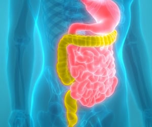 IBS Treatment: Dietary Guidance and Medication Strategies

