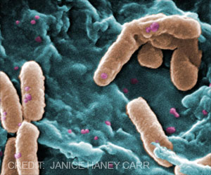 New Treatment for Antibiotic Resistant Bacteria