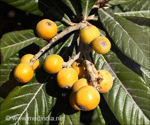 Japanese Fruit Juice Concentrate Improves Cardiovascular Health