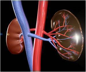 Targeted Therapy for Inflammation of the Kidneys Identified