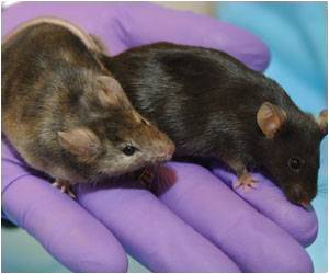 Fine News for Lungs Could Come from Intestinal Worm Infections