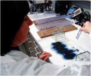  The First Complete Genome Sequence of the Zika Virus