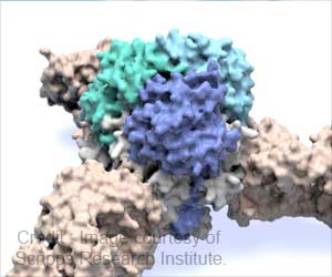 Lassa Virus Structure Identified Using Argonne X-Rays Lassa Virus Structure Identified Using Argonne X-Rays