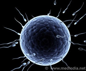 Prenatal Exposure to DEHP may Result in Male Infertility
