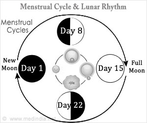 Menstrual and Lunar Cycles may be Linked
