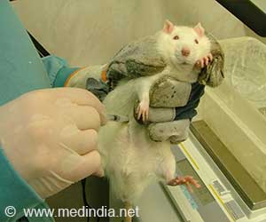  Harvard Creates Menstruating Mice: This Will Rewrite Women's Health Research