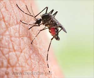 Increased Temperatures Pose Growing Dengue Risk