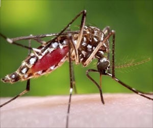 Lucknow Sees Alarming Spike With 38 New Dengue Cases Within a Day