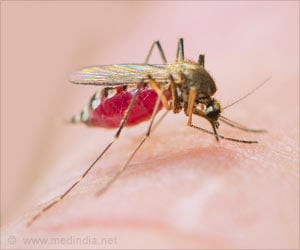 Combat Malaria, Dengue & Zika With Insecticide Paint