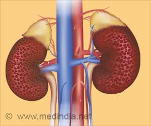 Glomerulus on a Chip: Major Breakthrough in Vitro Model in Kidney Disease