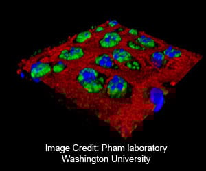 Nanoparticle Injections May Control Pain and Inflammation In Osteoarthritis