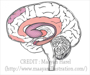 Postpartum Depression and Anxiety Differ from other Mood Disorders
