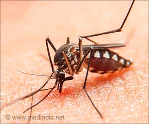 New Dengue Vaccine: The Bite Back Against Dengue