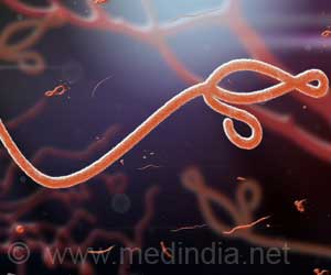 New Ebola Virus Antibody Paves the Way for Future Vaccines and Therapy